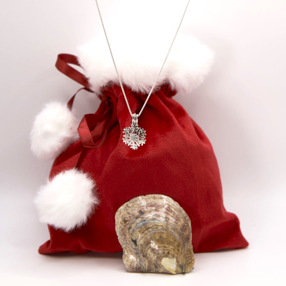 Open at Home Kit - Snowflake Cage