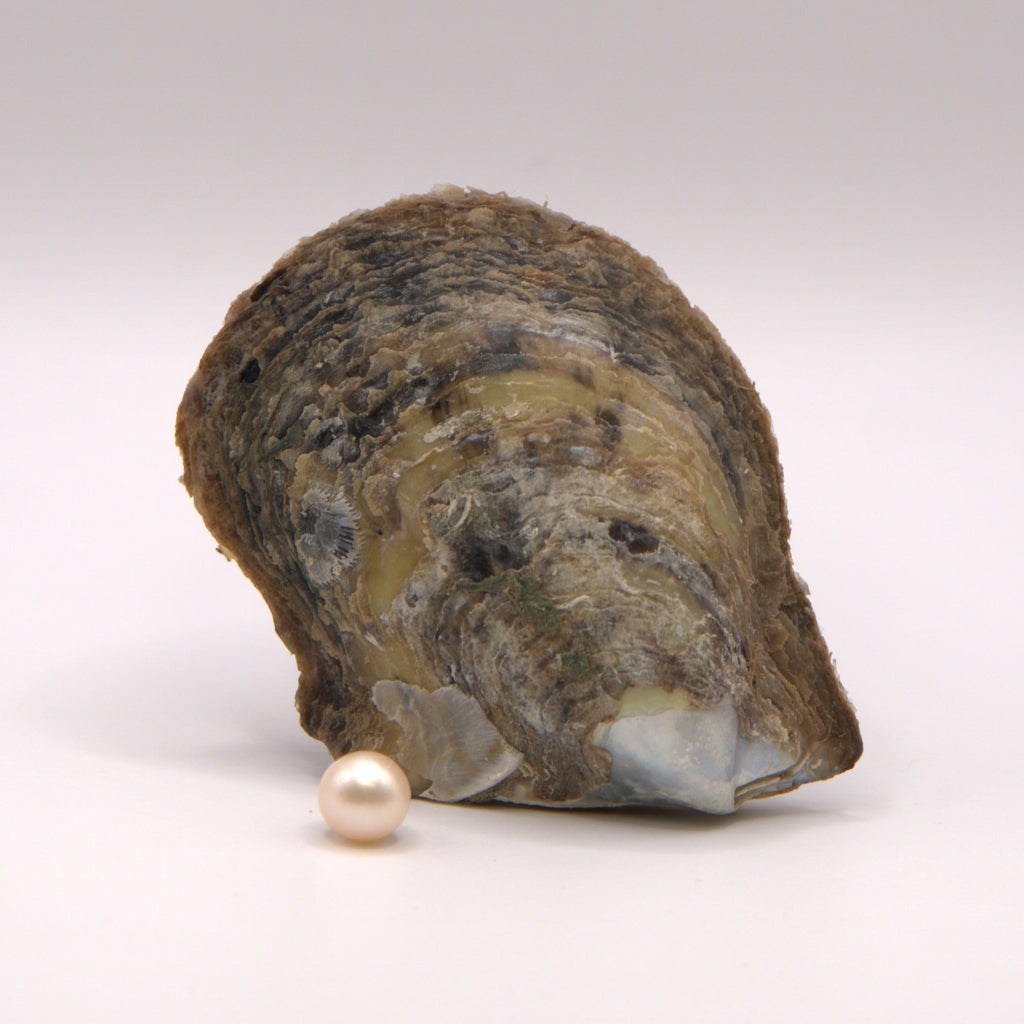 7-8mm Pearl Reveal – The Pearl Dude
